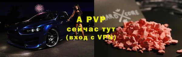 молекула духа Каменск-Шахтинский