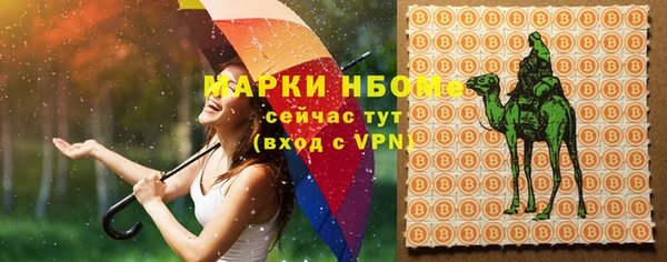 молекула духа Каменск-Шахтинский