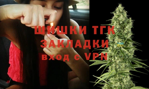 молекула духа Каменск-Шахтинский