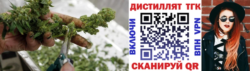 Купить закладки  Луза  ТГК THC oil 